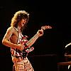 Pn010551 by ROTH ARMY STAFF in Eddie Van Halen