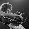 Pn011993 by ROTH ARMY STAFF in Eddie Van Halen