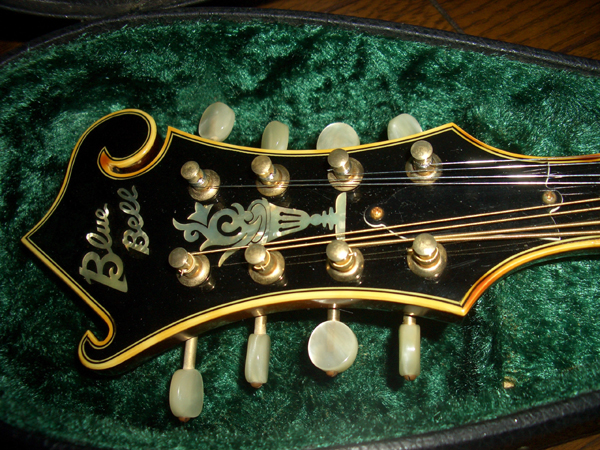 Blue Bell's Flat Mandolin F-8(1978) by Cato in Cato's unbelievably great gear collection